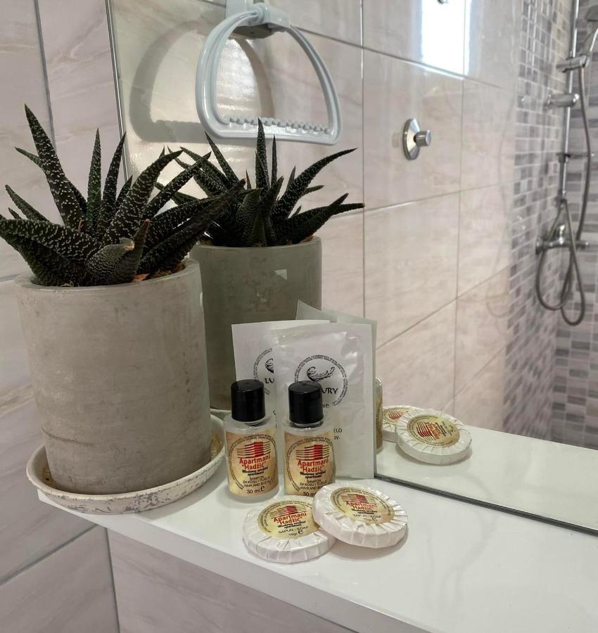 Apartmani Hadzic Zivinice エクステリア 写真